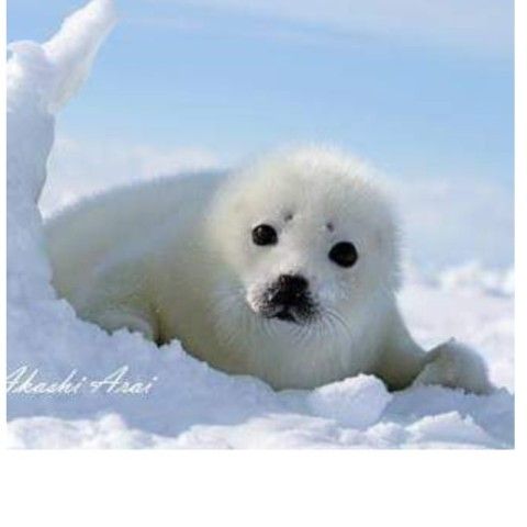 name-image
